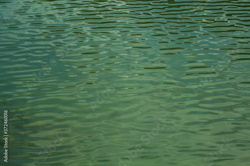 shallow waves on a green lake