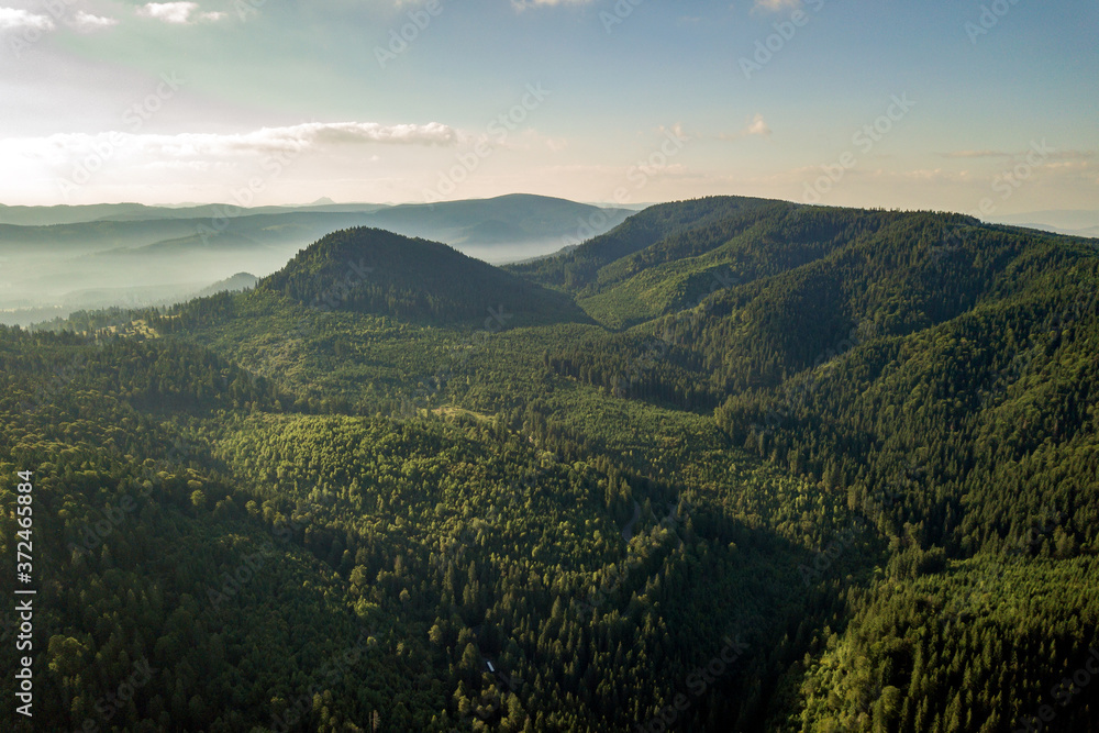 Aerial view of green mountain hills covered with evergreen spruce forest in summer.