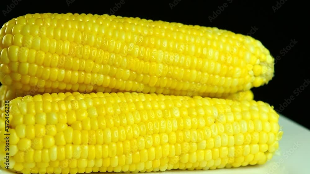 Close up boiled corn , in studio Chiangmai Thailand Close up boiled corn , in studio Chiangmai Thailand