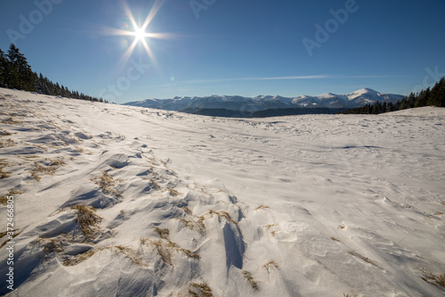 Winter landscape panorama with snowy landscape hills, distant white mountains, dark forest and clear blue sky with bright sun.