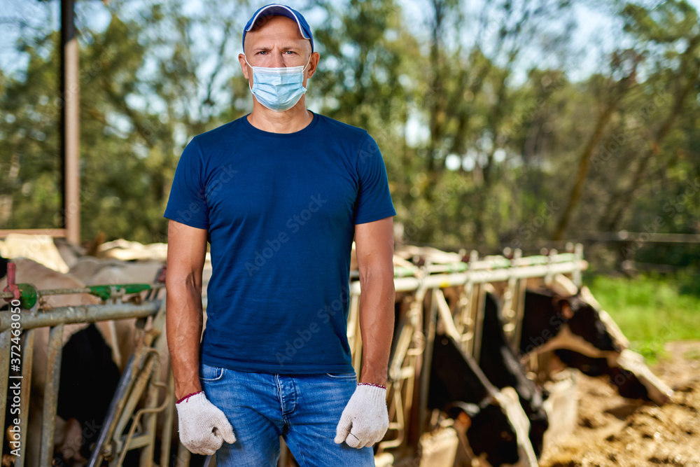 Male rancher in a mask virus protectionon at farm with dairy cows