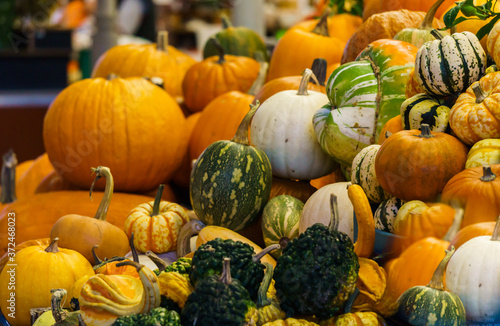 Different varieties of pumpkins at the farmers market. Autumn halloween. Green  orange  yellow and striped ripe pumpkins.