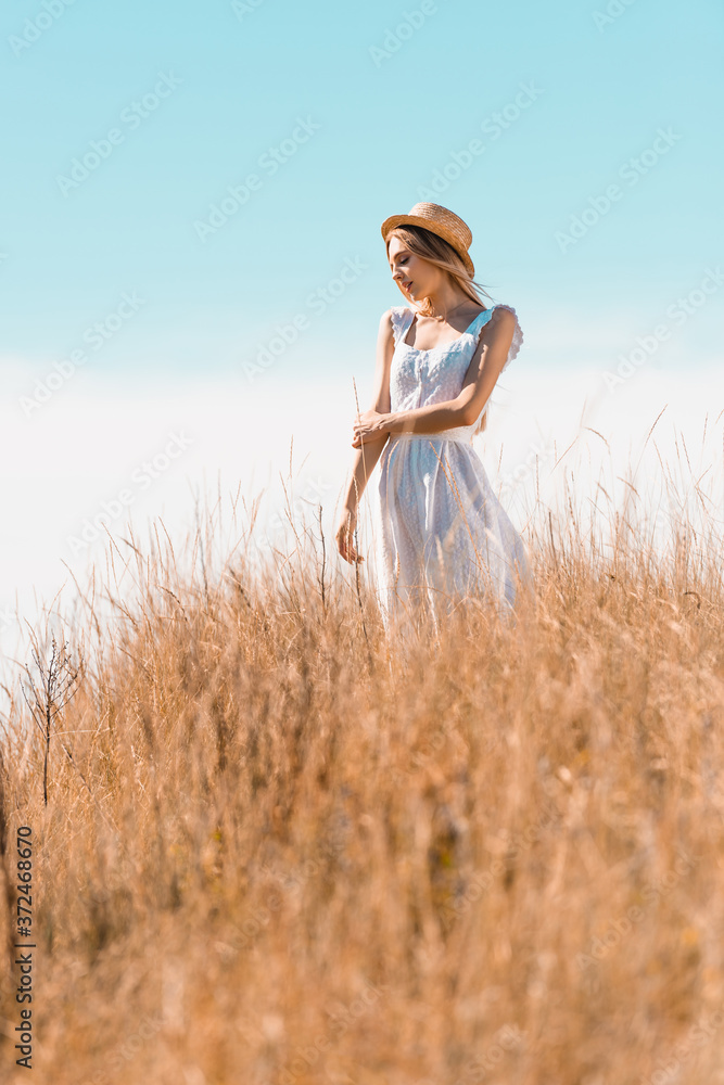 selective focus of young woman in white dress and straw hat looking away while standing on grassy hill selective focus of young woman in white dress and straw hat looking away while standing on grassy hill