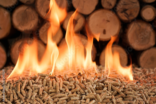 Wooden biomass in flames. Pellets made of fir wood photo
