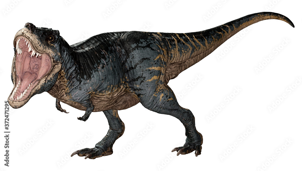 3D Rendering Tyrannosaurus Rex on White 3D Rendering Tyrannosaurus Rex on White