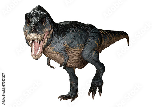 3D Rendering Tyrannosaurus Rex on White