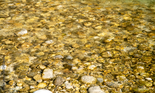 stones in the clear water of a mountain river
