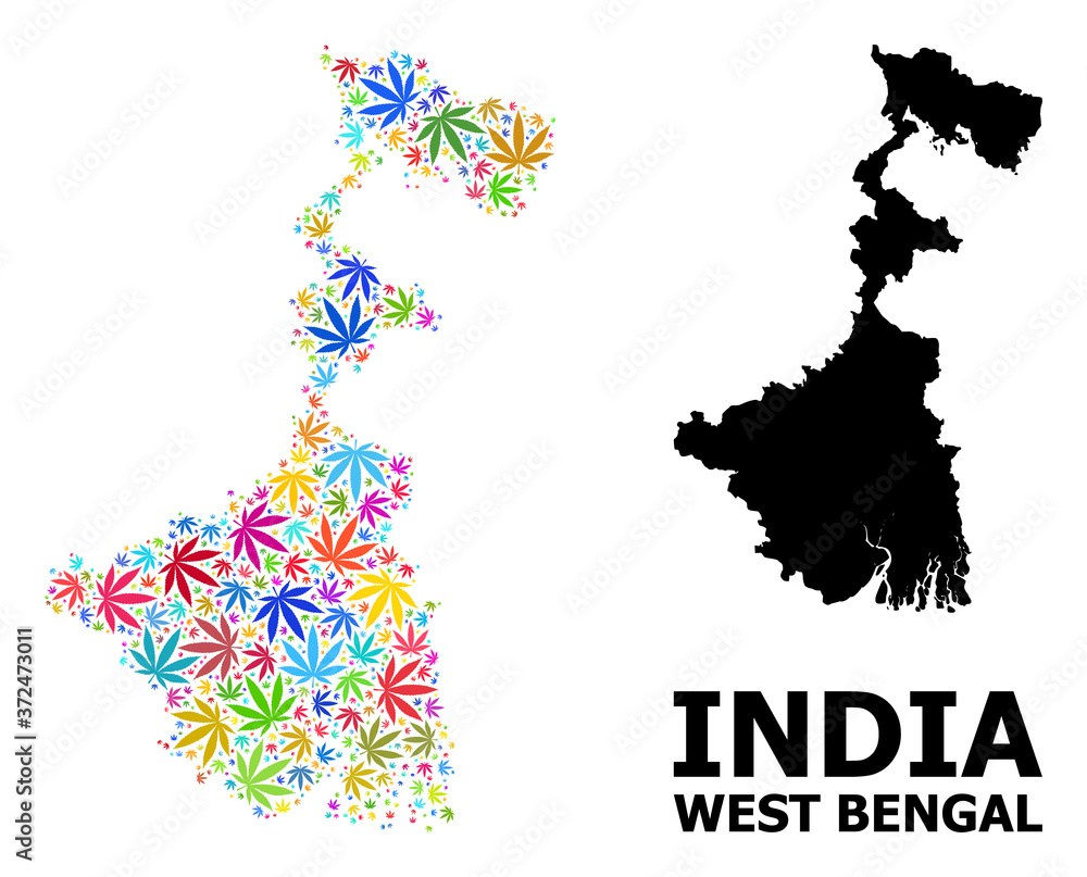 Vector Collage Map of West Bengal State of Psychedelic Weed Leaves and Solid Map