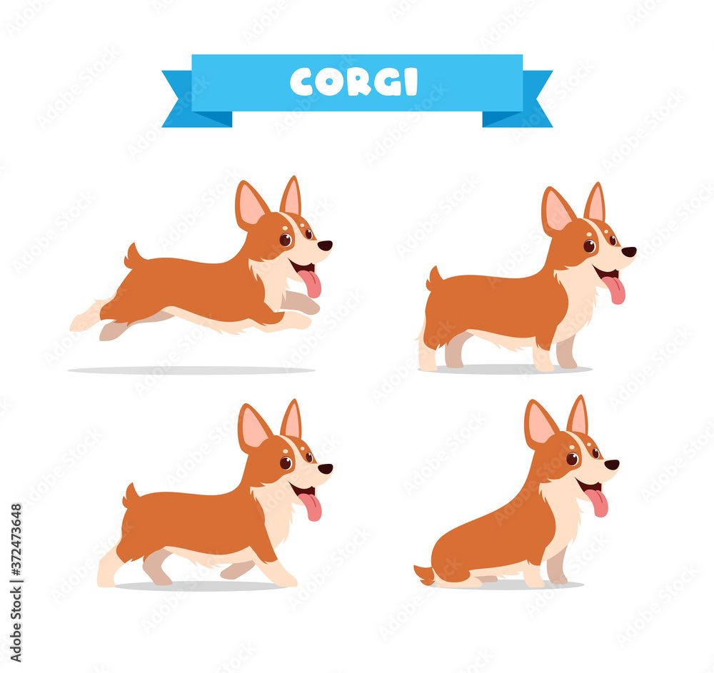 cute corgi dog animal pet with many pose bundle set