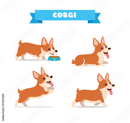 cute corgi dog animal pet with many pose bundle set