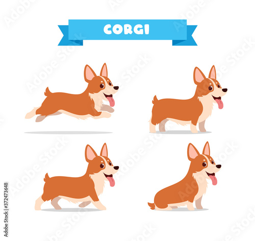 cute corgi dog animal pet with many pose bundle set