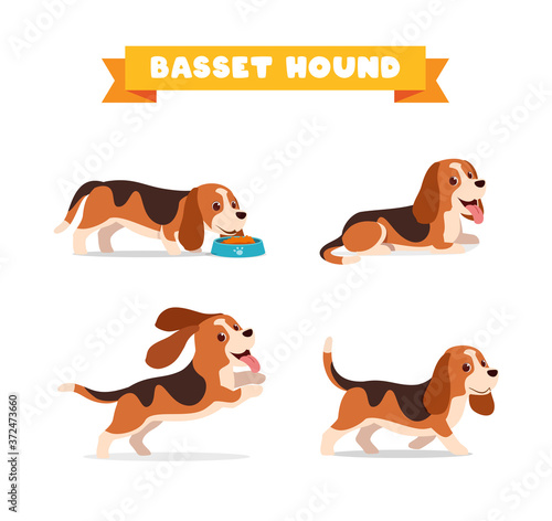 cute basset hound dog animal pet with many pose bundle set