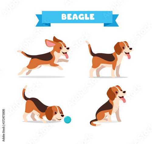 cute beagle dog animal pet with many pose bundle set