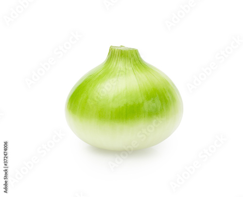 fresh salad onion bulb isolated on white