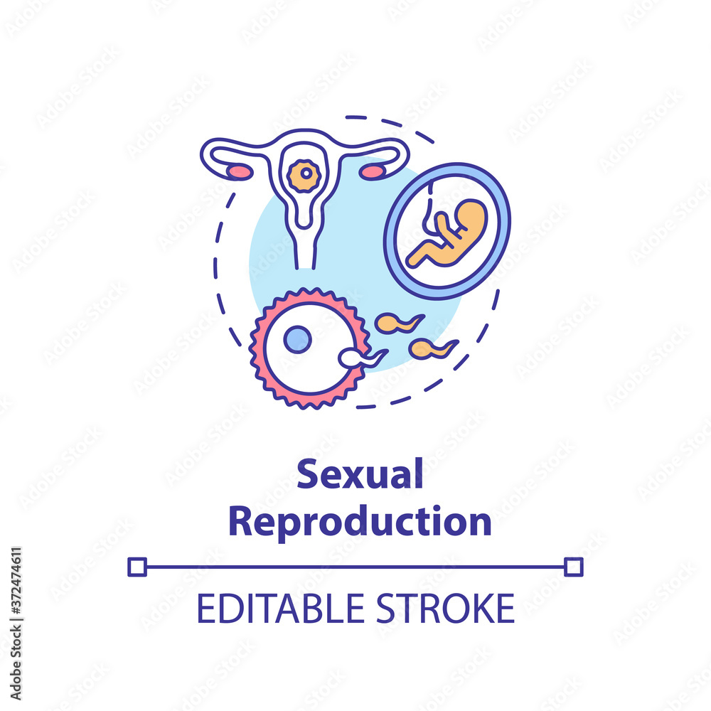 Sexual Reproduction Concept Icon Human Physiology Sex Education Idea Thin Line Illustration 4700