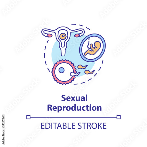 Sexual reproduction concept icon. Human physiology, sex education idea thin line illustration. Woman reproductive system anatomy, biology. Vector isolated outline RGB color drawing. Editable stroke