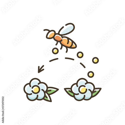 Pollination RGB color icon. Working bee collecting nectar, carrying wildflower pollen. Beekeeping, botany. Honeybee pollinating flowers isolated vector illustration