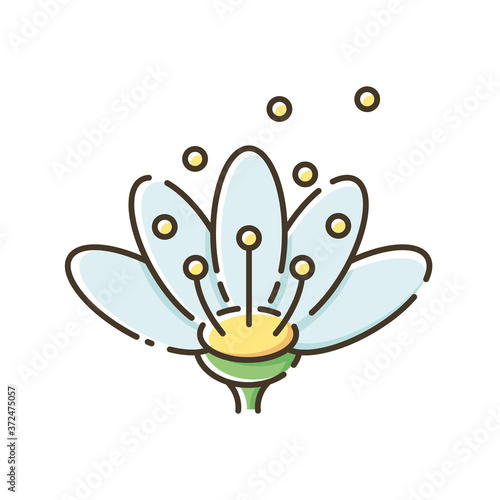 Pollen RGB color icon. Natural flowers reproduction. Pollination process, seasonal allergy, beekeeping. Blooming flower bud in blossom isolated vector illustration