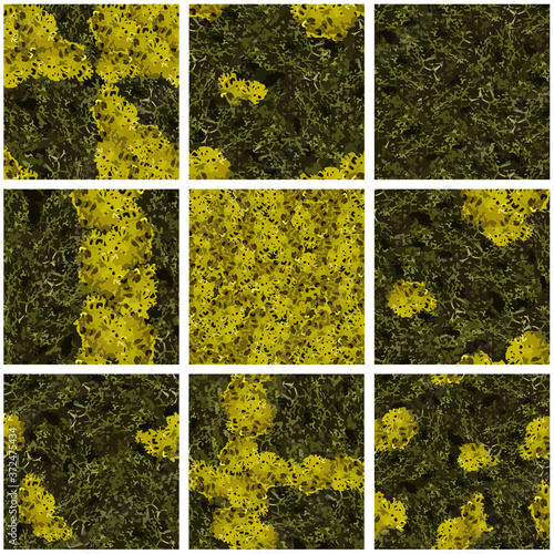 Forest moss texture seamless pattern set. Soft dust green color nature repeatable motif. Tile element for fabric, wrapping paper, surface design, background, carpet.