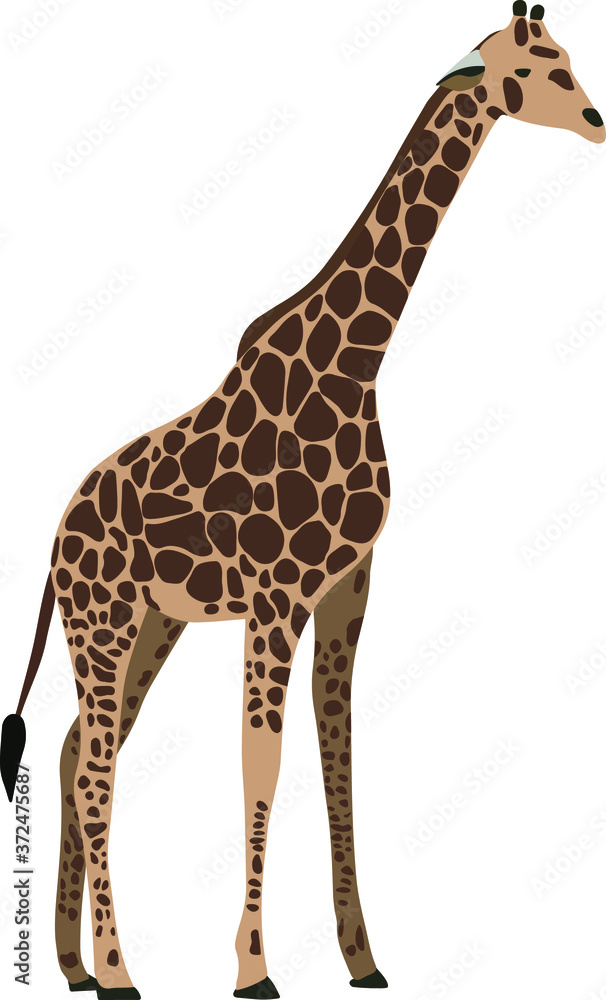 Fototapeta premium Giraffe in vector format. Abstract animal. Hand drawn.