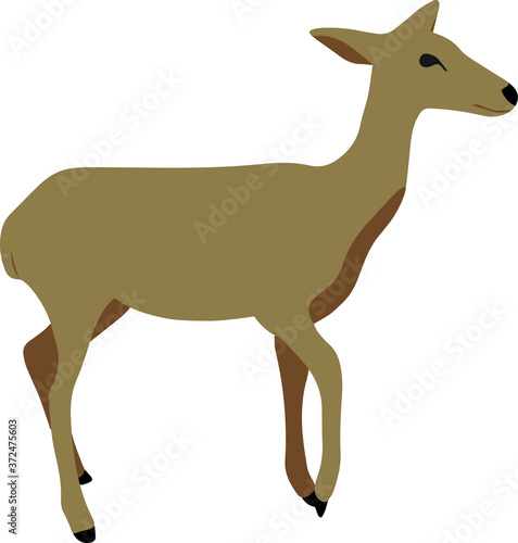 Deer in vector. Abstract animal. Illustration for design of clothes, postcards.