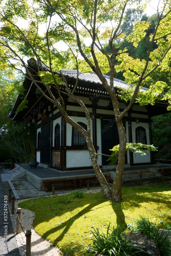 Japan. Hesederas Kyozo is a repository for storing Buddhist scriptures. Hesedera Temple grounds is one of the Buddhist temples in the city of Kamakura in Kanagawa Japan. Hesederas Kyozo is a repository for storing Buddhist scriptures. Hesedera Temple grounds is one of the Buddhist temples in the city of Kamakura in Kanagawa