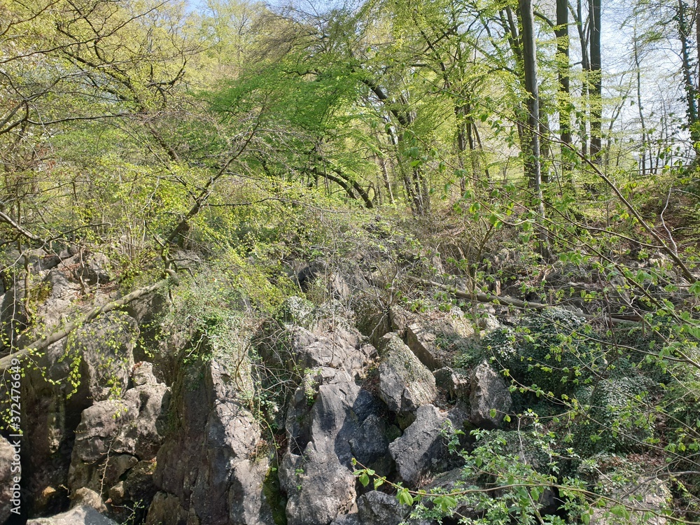 Ruhrgebietsromantik