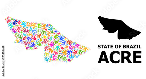Vector Mosaic Map of Acre State of Bright Hemp Leaves and Solid Map