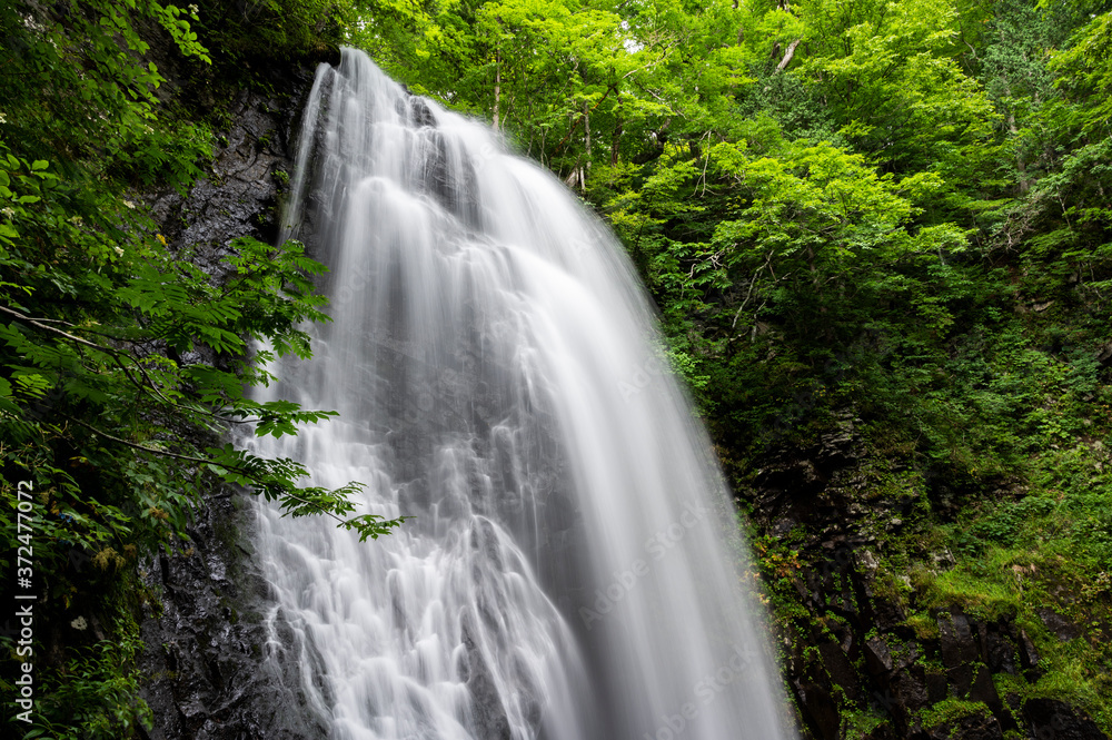 Fototapeta premium 不野川不動滝