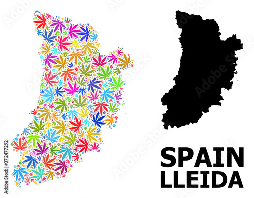 Vector Collage Map of Lleida Province of Psychedelic Marijuana Leaves and Solid Map