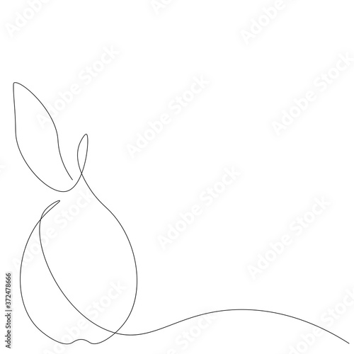 Pear fruit on white background. Vector illustration