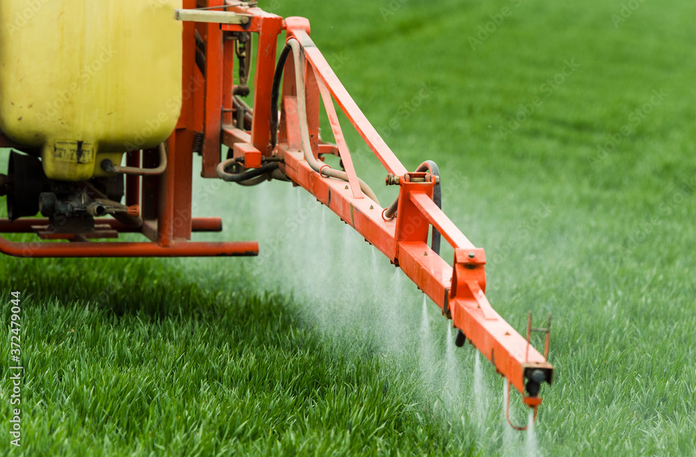 Tractor spraying pesticides wheat field.