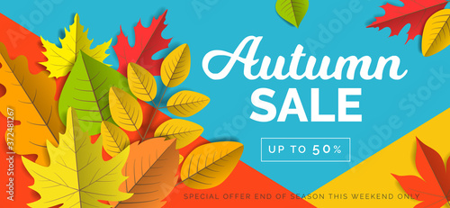 autumn sale special offer creative banner with  leaves on geometric background vector illustration