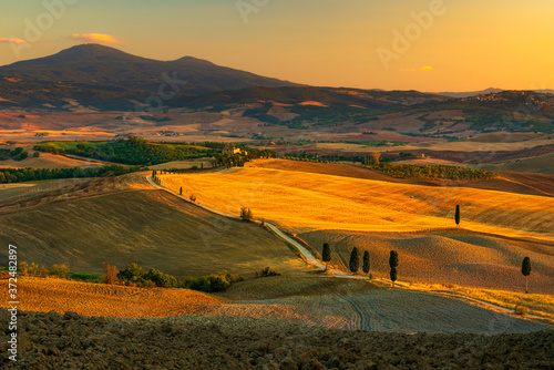 warm light of a summer sunset at the podere Terrapille very close to Pienza in Val d'Orcia, Italy