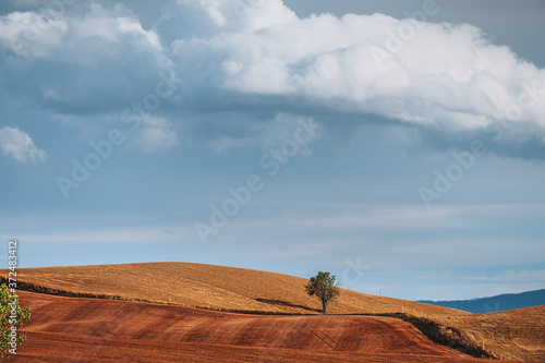 Autumn fall in the Italian land photo