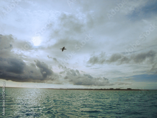 Tubbata Reefs Natural Park  UNESCO Heritage Site 