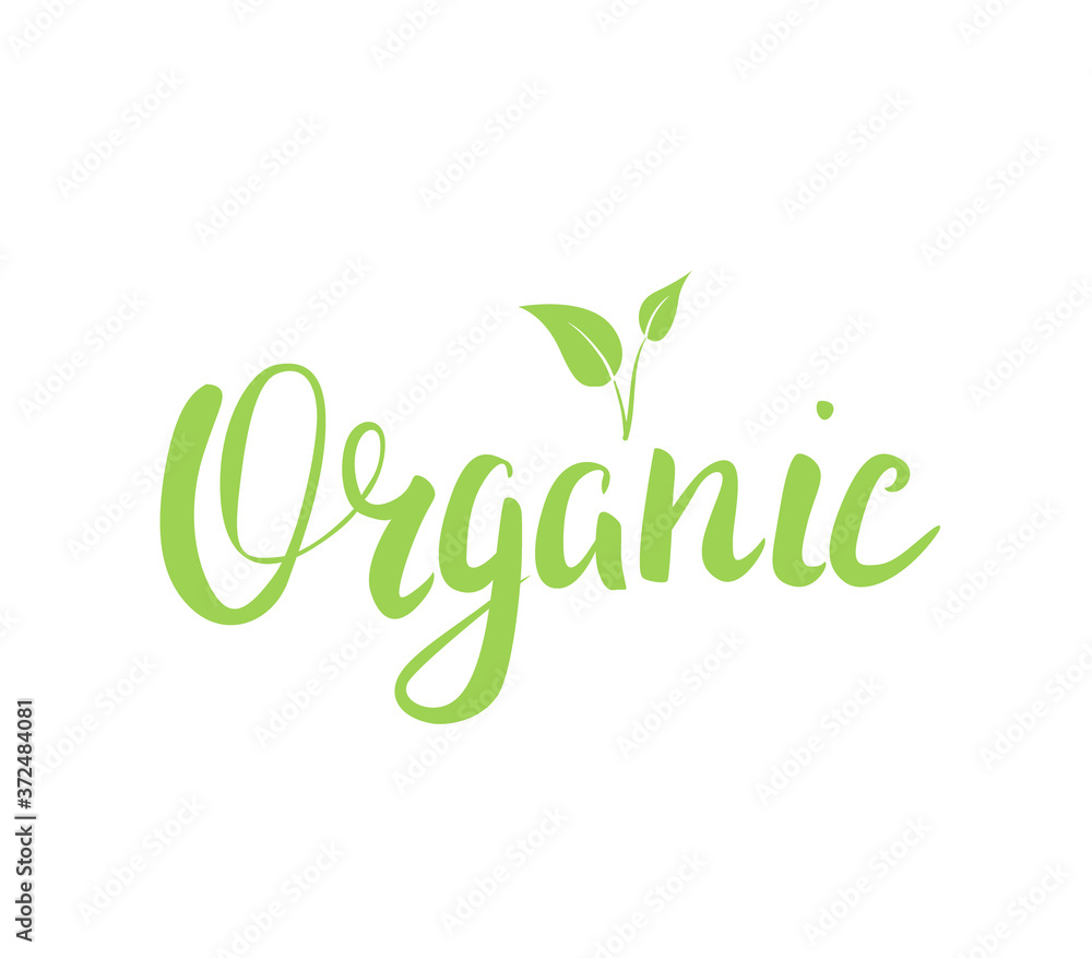 Fototapeta premium Organic lettering logo design isolated on white background. Handwritten calligraphy for healthy eco products. - Vector
