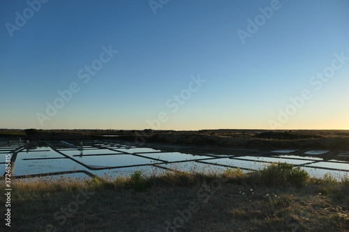 marais salants le soir photo