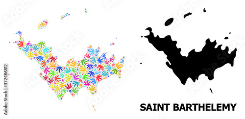 Vector Collage Map of Saint Barthelemy of Bright Hemp Leaves and Solid Map