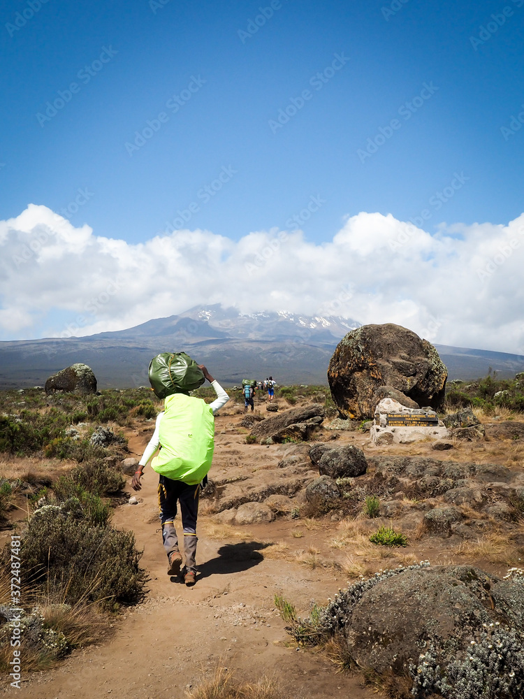 guides porters and sherpas carry heavy sacks as they ascend mount kilimanjaro the tallest peak in africa. guides porters and sherpas carry heavy sacks as they ascend mount kilimanjaro the tallest peak in africa.