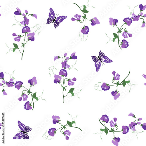 Seamless vector illustration with sweet pea and butterflies on a white background .