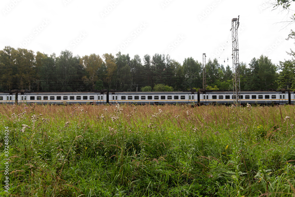 The passenger train rides against the background of a summer forest and field.