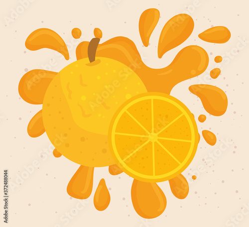 oranges fruits on juice splash vector illustration design