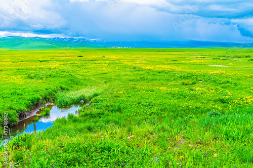 The highland meadow with wildflowers, Selim Pass, Gegharkunik Province, Armenia photo