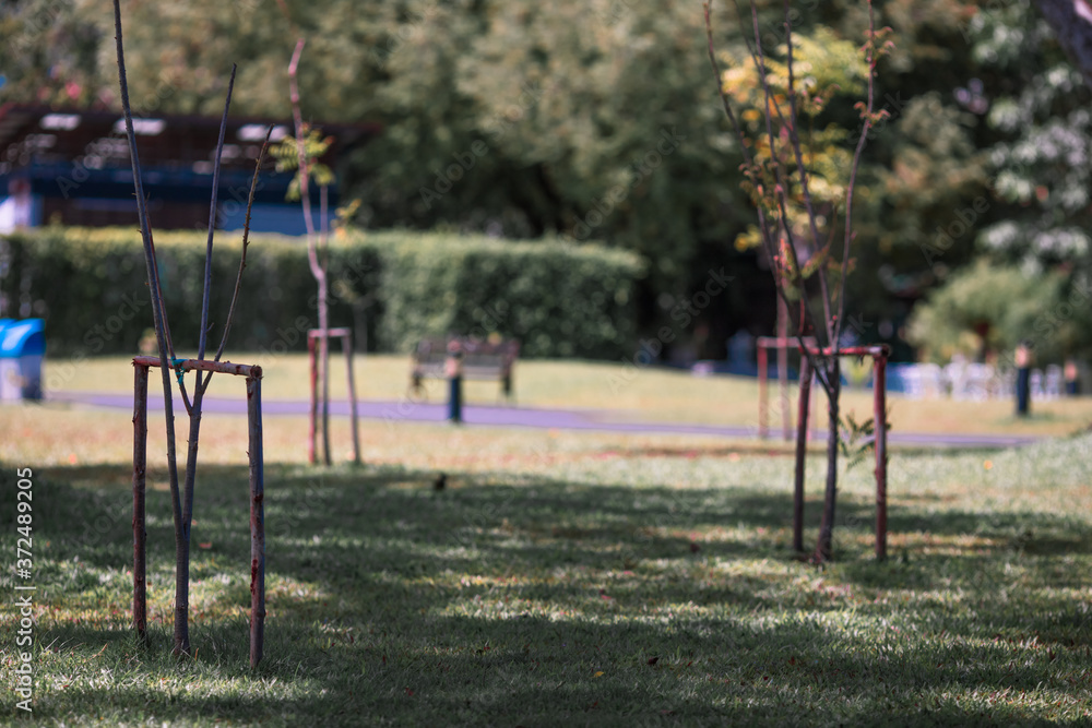 Fototapeta premium Background of tourist attractions where people come to see the beauty of the architecture of the golden pagoda in Bangkok (Wat Metal Prasat Or Wat Ratchanaddaram Worawihan) in Thailand