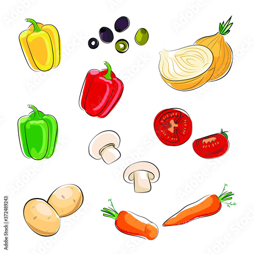 set of vegetables. onion carrots olives tomatoes potatoes eggplant mushrooms