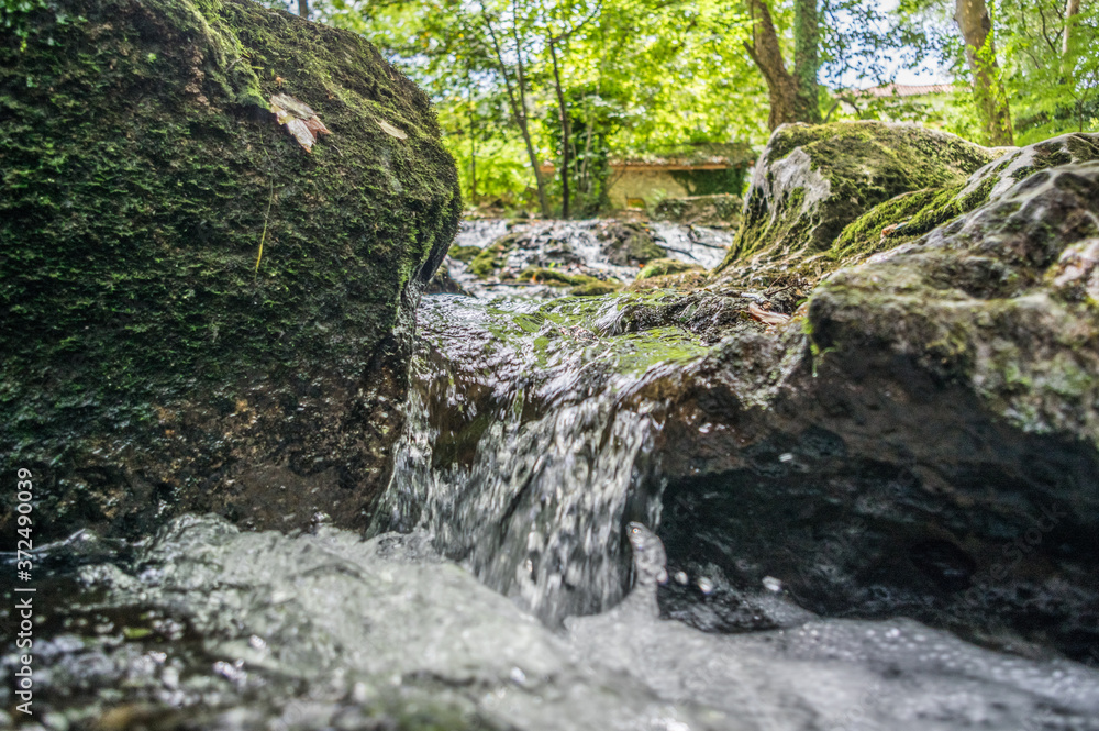 Fototapeta premium El río Aguanaz atraviesa rápido entre bosque y piedras.