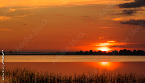 Summer lake at dawn  nature background.