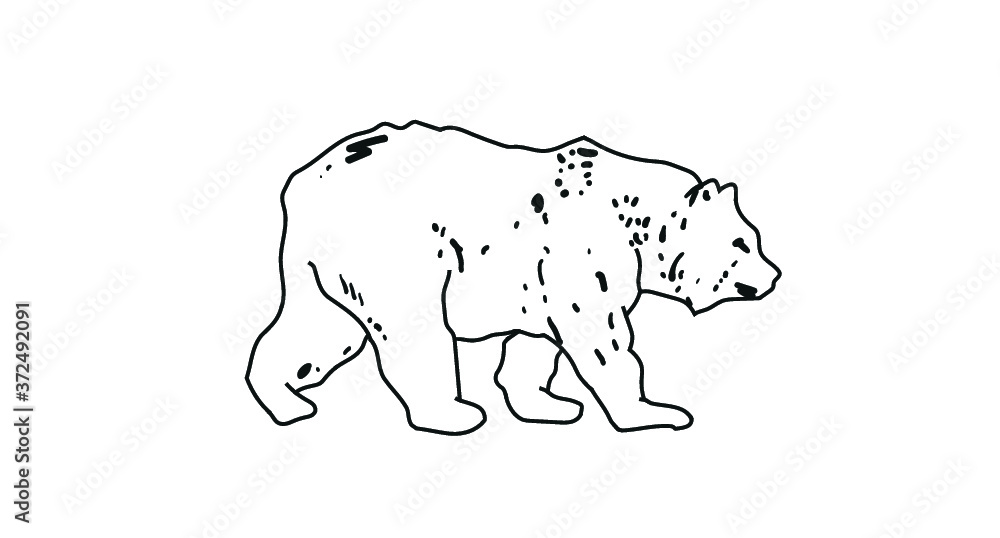 Polar Bear Polar Bear