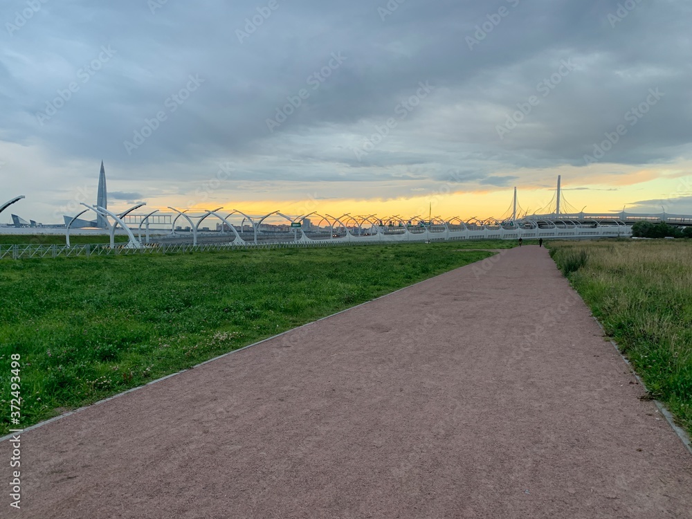 Obraz premium road through the field